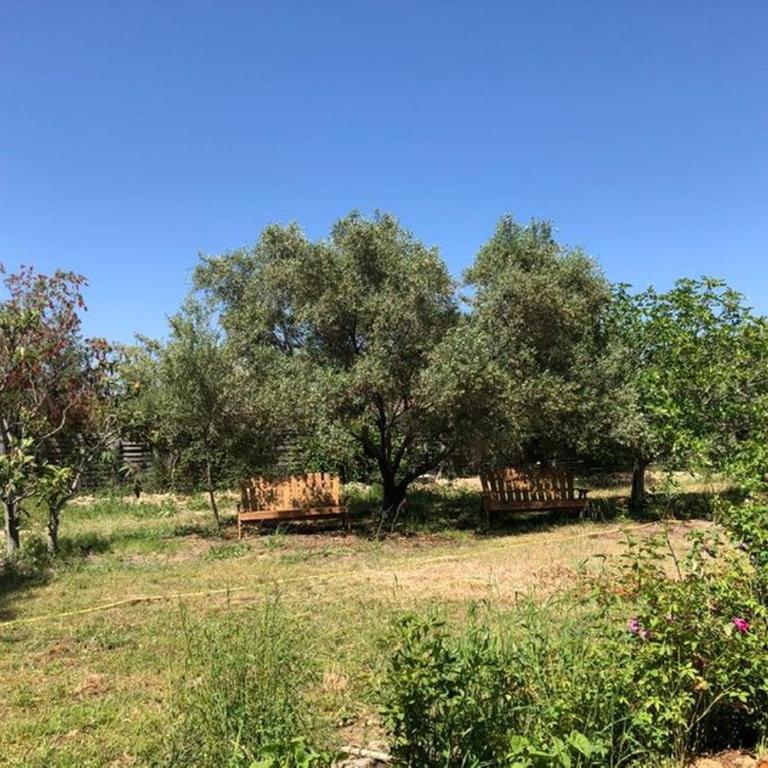 L'UMBRIA Studio - Appartement 1 Chambre - 4