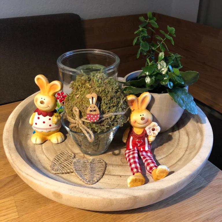 Nagelfluh Hüs - Apartment mit Blick auf die Berge - 24