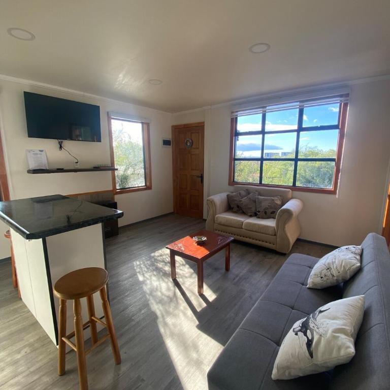 Alojamiento en Punta Arenas - One-Bedroom Apartment - 4