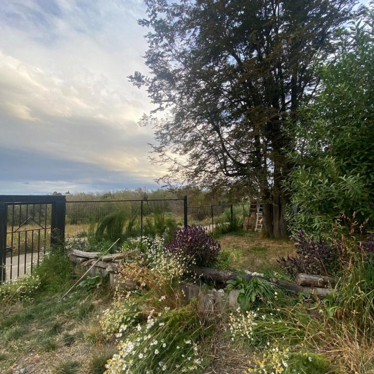Alojamiento en Punta Arenas - One-Bedroom Apartment - 10