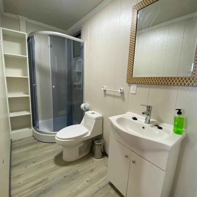 Alojamiento en Punta Arenas - One-Bedroom Apartment - 11