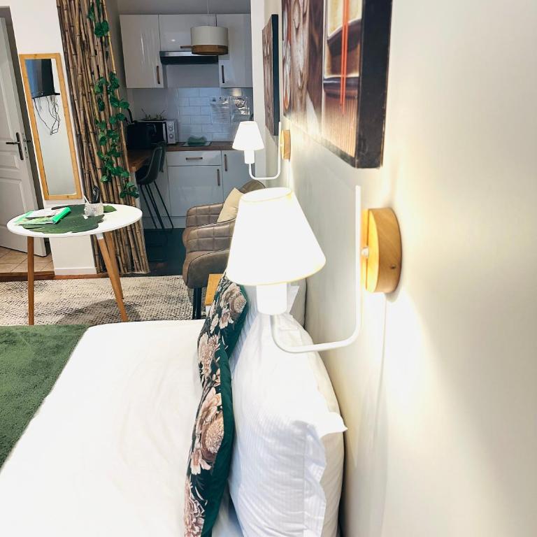 Studio ZEN cosy gare part dieu - Deluxe Studio mit Kingsize-Bett - 16
