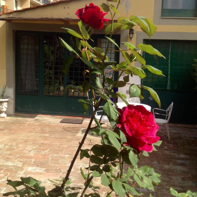 La Piccola Oasi con parcheggio - Appartamento - 55