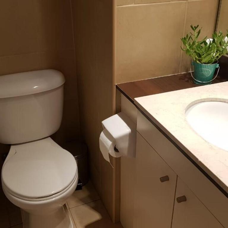 Santiago Central, Bellavista, and Bellas Artes - Apartamento de 1 dormitorio - 9