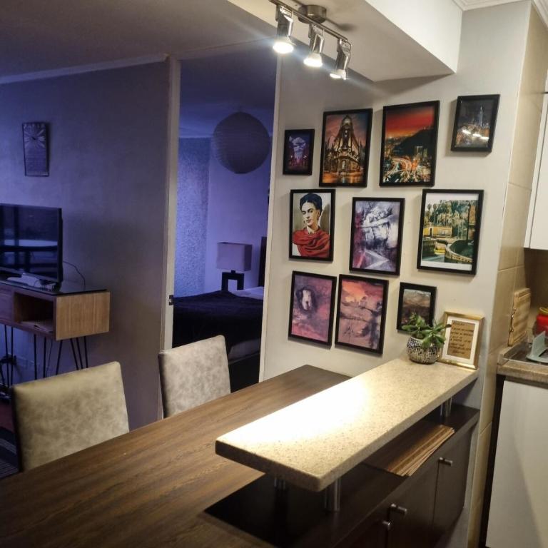 Santiago Central, Bellavista, and Bellas Artes - Apartamento de 1 dormitorio - 13