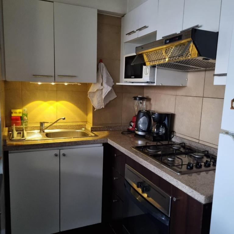 Santiago Central, Bellavista, and Bellas Artes - Apartamento de 1 dormitorio - 14