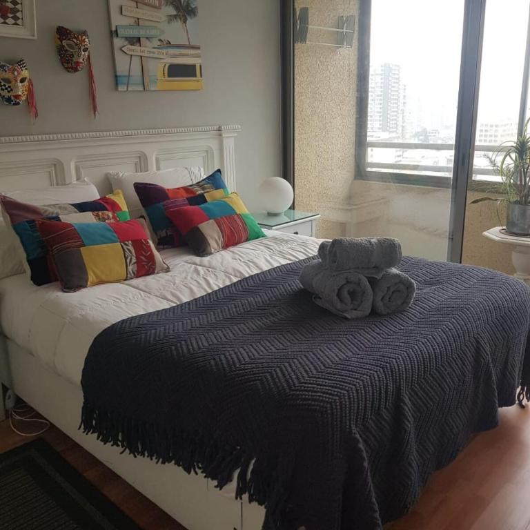 Santiago Central, Bellavista, and Bellas Artes - Apartamento de 1 dormitorio - 2