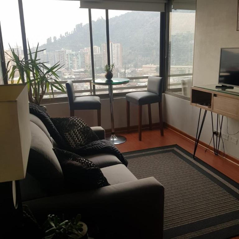 Santiago Central, Bellavista, and Bellas Artes - Apartamento de 1 dormitorio - 16