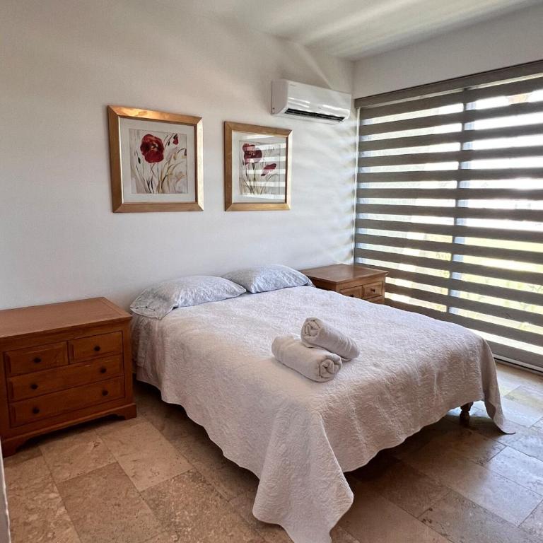 Stunning Apartment Downtown Cabo Apartment 2 - Apartamento de 2 dormitorios - 11