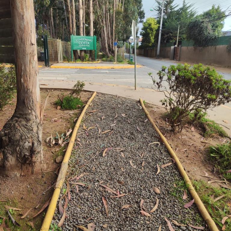 Departamento en Algarrobo - Apartamento de 3 dormitorios - 29