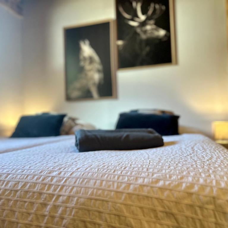 Chalet le petit Nicolas, jacuzzi, vue Mont Blanc - Chalet - 60