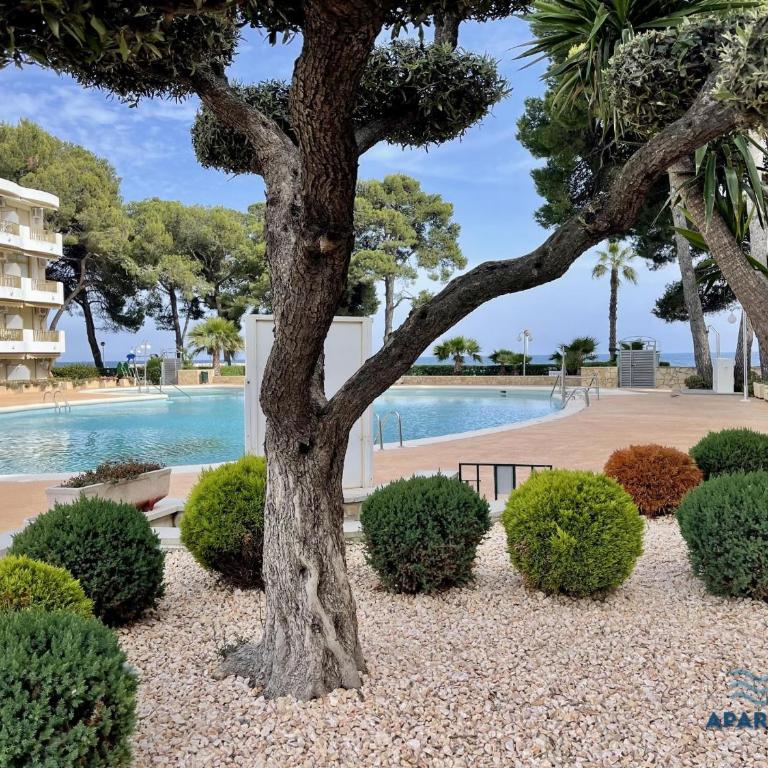 APARTBEACH INTERNACIONAL y VISTAS PLAYA - Apartamento - 28