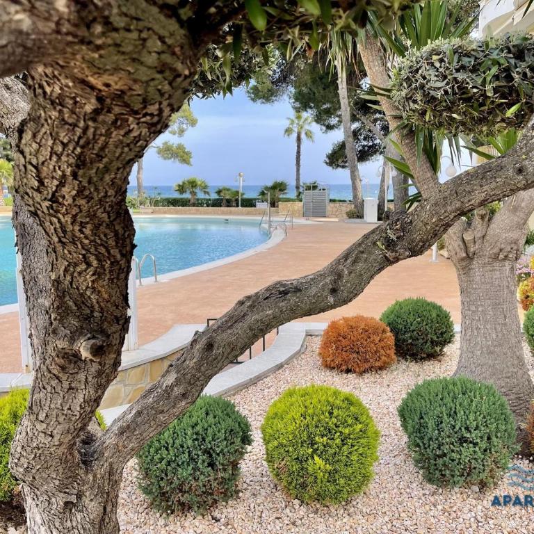 APARTBEACH INTERNACIONAL y VISTAS PLAYA - Apartamento - 25