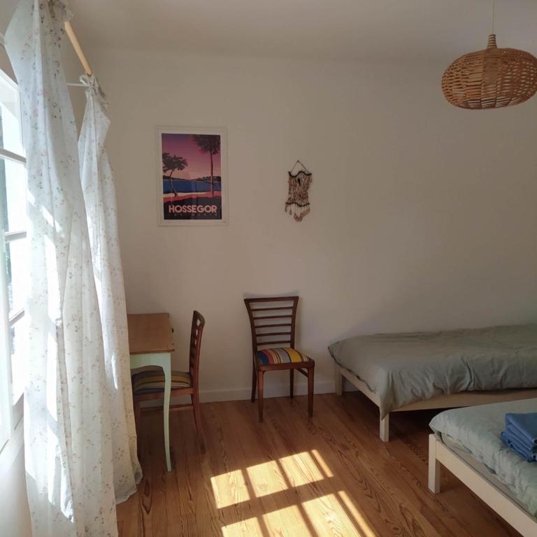 Charming villa near Hossegor golf and lake - Villa de 3 dormitorios - 22