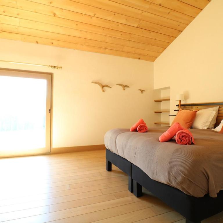 Mas spacieux Les Agasses calme - Isle sur sorgue - Villa Deluxe - 5