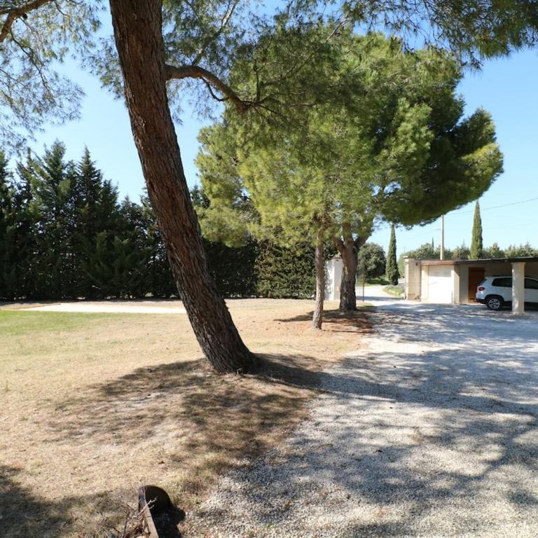Mas spacieux Les Agasses calme - Isle sur sorgue - Villa Deluxe - 22