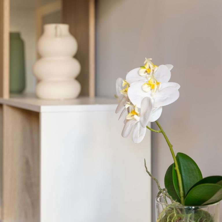 Ecrin - Apartamento de 1 dormitorio - 6