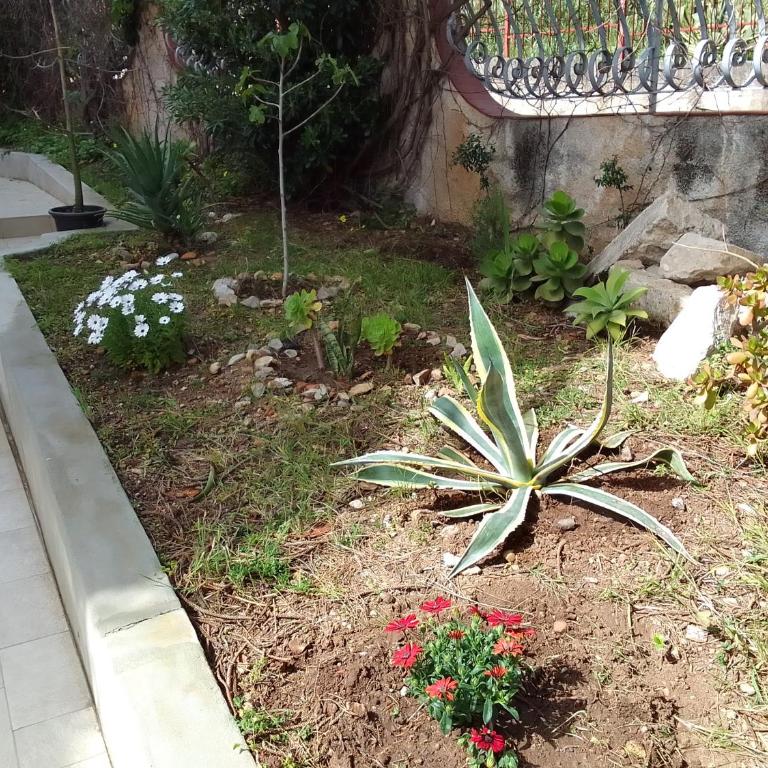 La casetta di rosario mondello - One-Bedroom Apartment - 8