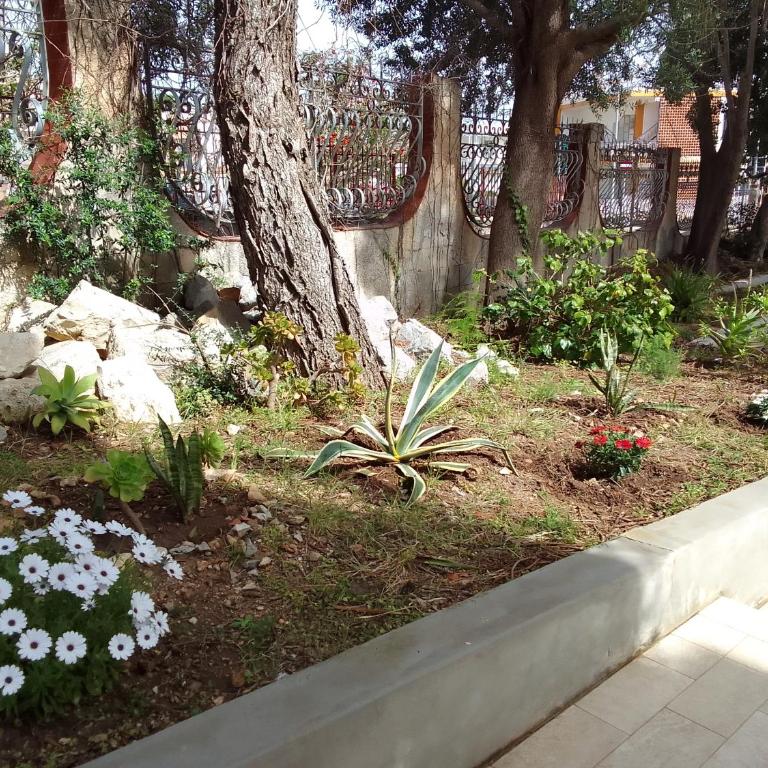 La casetta di rosario mondello - One-Bedroom Apartment - 9