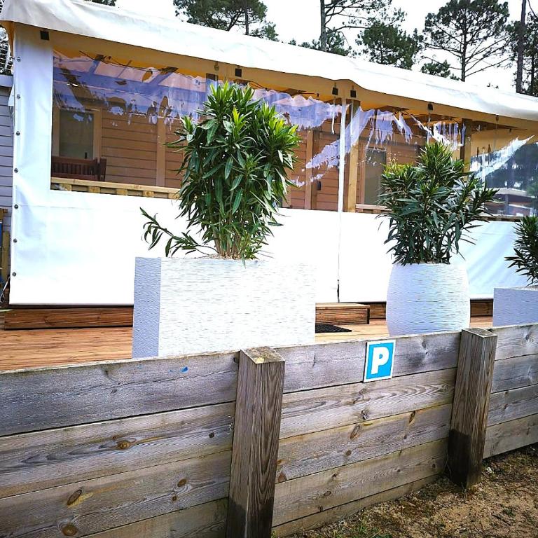 Cozy-House tout confort camping 4 étoiles - Mobilheim - 21