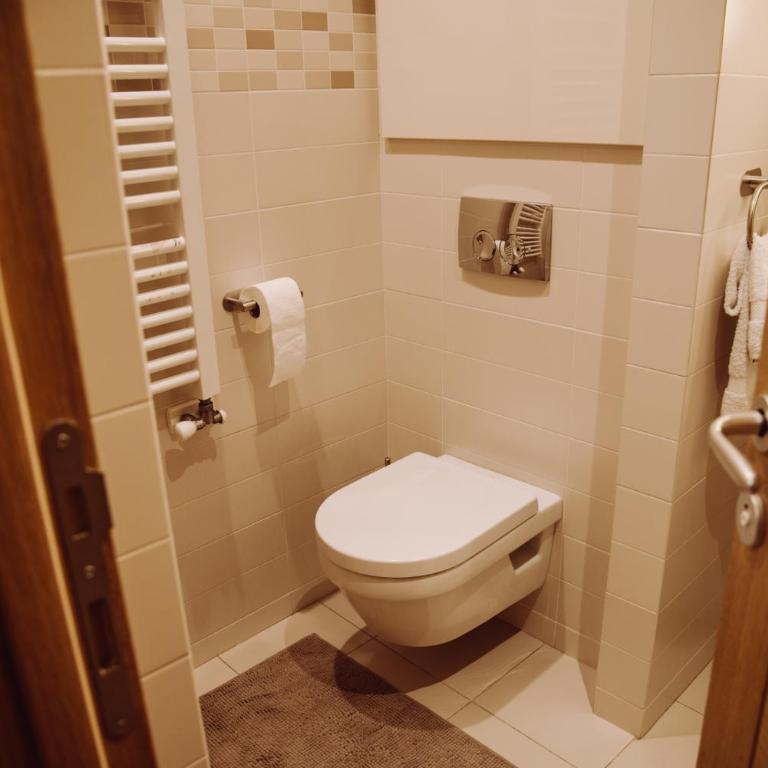 Gora apartman, Zlatibor - One-Bedroom Apartment - 17