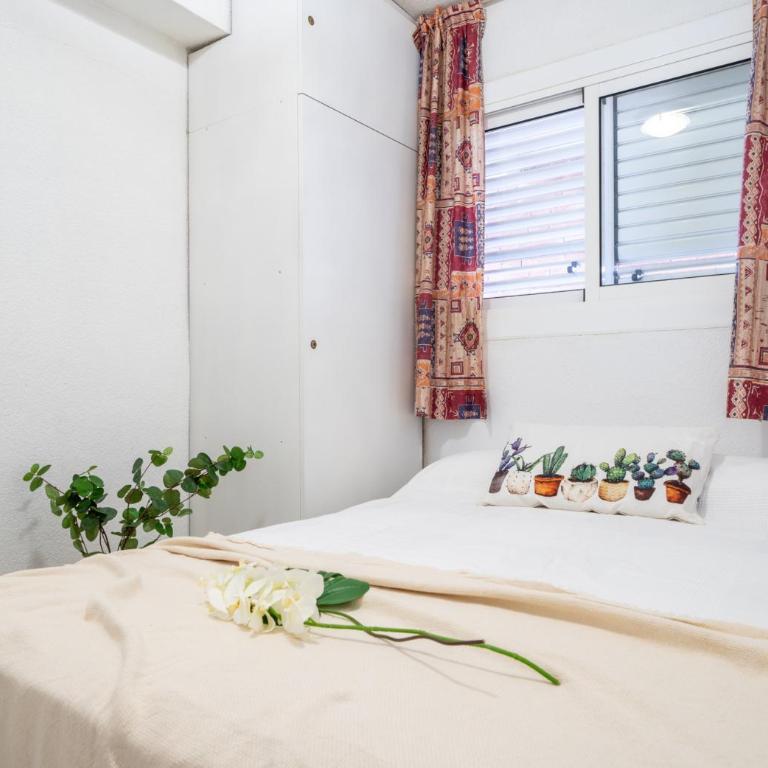 Apartamento Bell Raco - Apartment - 31