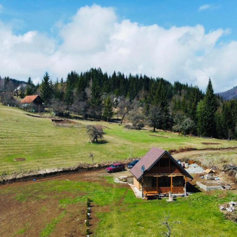 Vulovica konak - Kuća sa 1 Spavaćom Sobom - 11