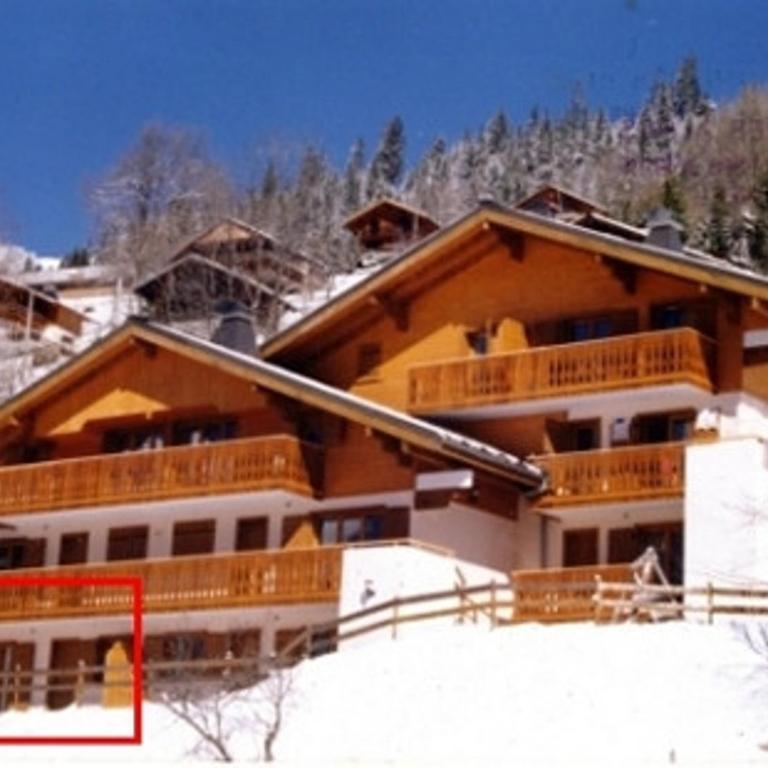 Appartement Châtel 5 pers, Terrasse, Animal admis - FR-1-676-77 - Apartment - 6