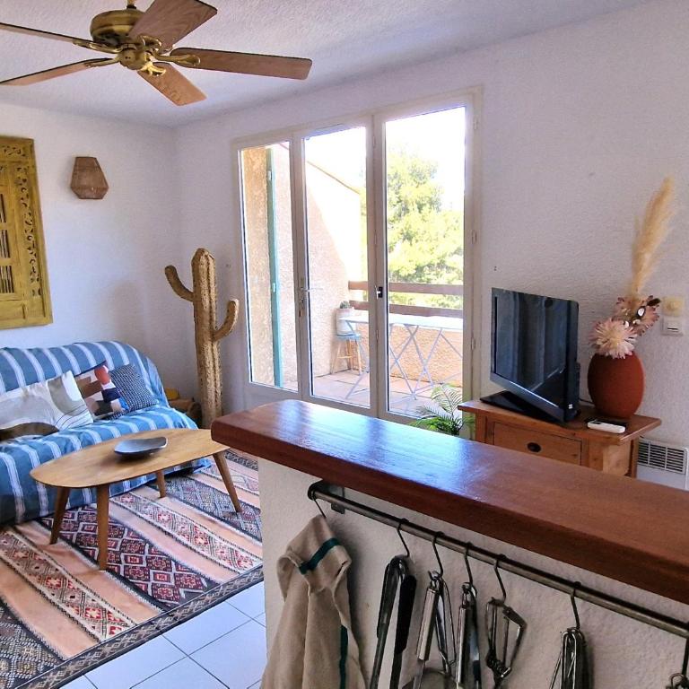 Villa T3 à Banyuls-sur-Mer, 2 terrasses, garage - FR-1-309-498 - Villa 2 Chambres - 3