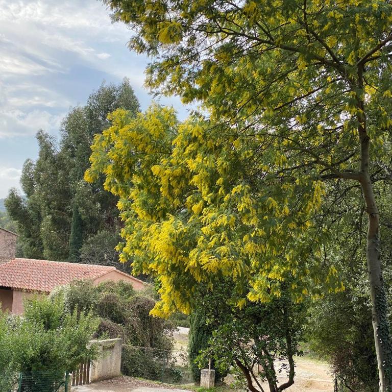 Les Arbousiers - villa climatisée avec piscine, au calme - Villa mit privatem Pool - 21