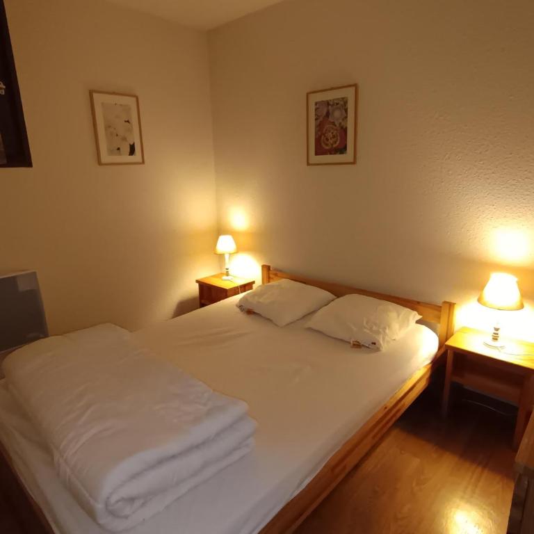 Appartement skis aux pieds pour 6 pers., animaux admis, vue sur les pistes - FR-1-445-99 - Appartamento (6 Adulti) - 5