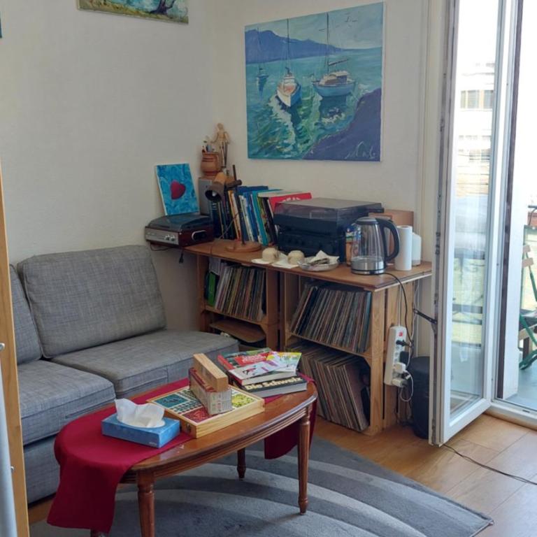 Inspiration room, lake, mountains, balcony in Montreux city center - Doppelzimmer mit Seeblick - 11