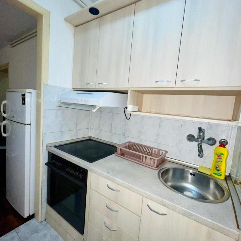 Slavija McD apartment - Apartman sa 1 Spavaćom Sobom - 7