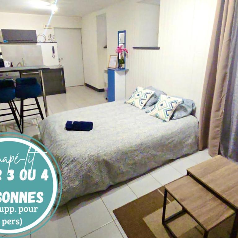Agréable t2 calme centre-ville Cahors - Appartement 1 Chambre - 3