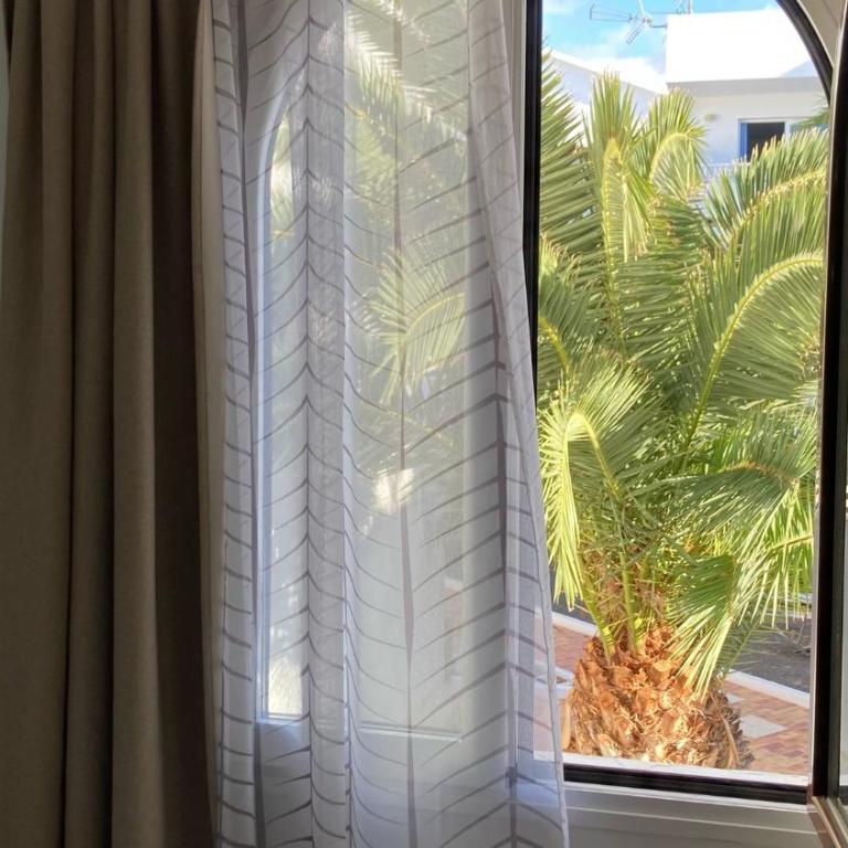 Pura Vida Home - Apartamento de 1 dormitorio - 49