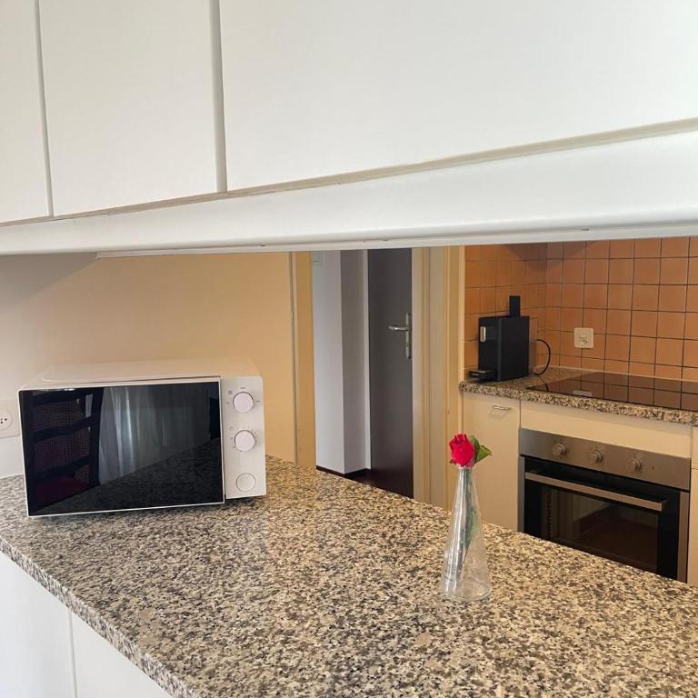 Rivellino Guesthouse app 1 - Appartamento con 1 Camera da Letto - 9