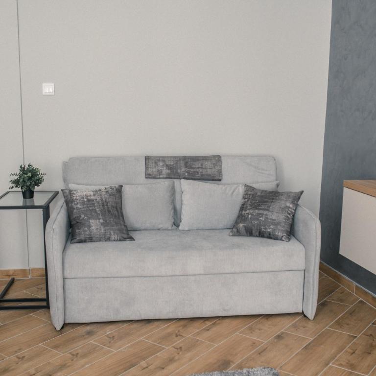 City Center Apartments - Deluks Apartman s 1 Spavaćom Sobom - 6