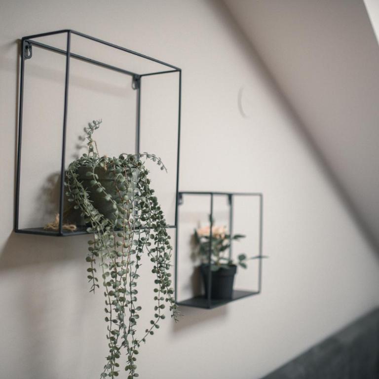 Square Studios - Apartman sa 1 Spavaćom Sobom - 3