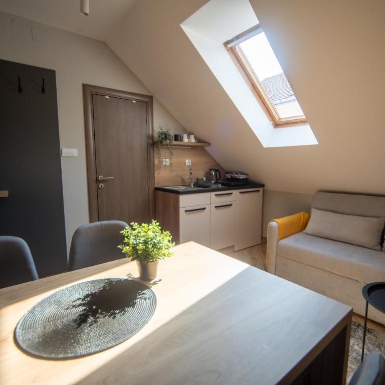 Turista-Apartmani u centru sa parkingom - Apartman sa 1 Spavaćom Sobom - 7