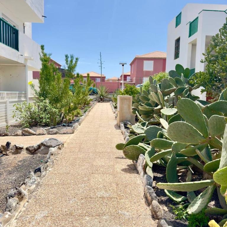 Casita Alma Zen - Apartamento de 1 dormitorio - 29