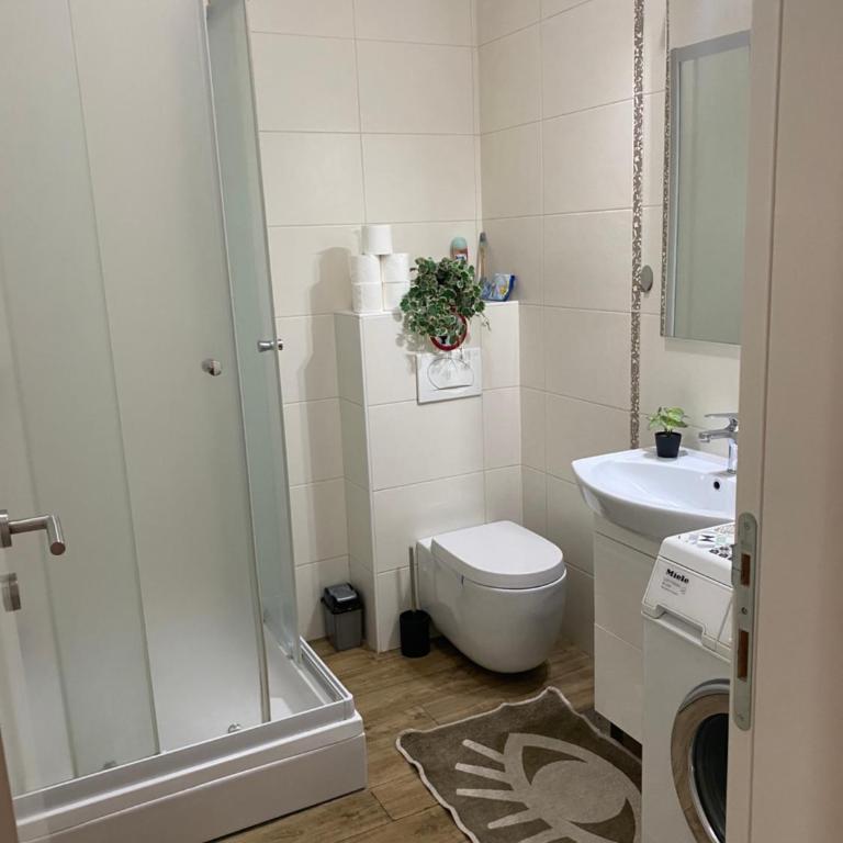 Alexandra apartment - Apartman sa 1 Spavaćom Sobom - 18
