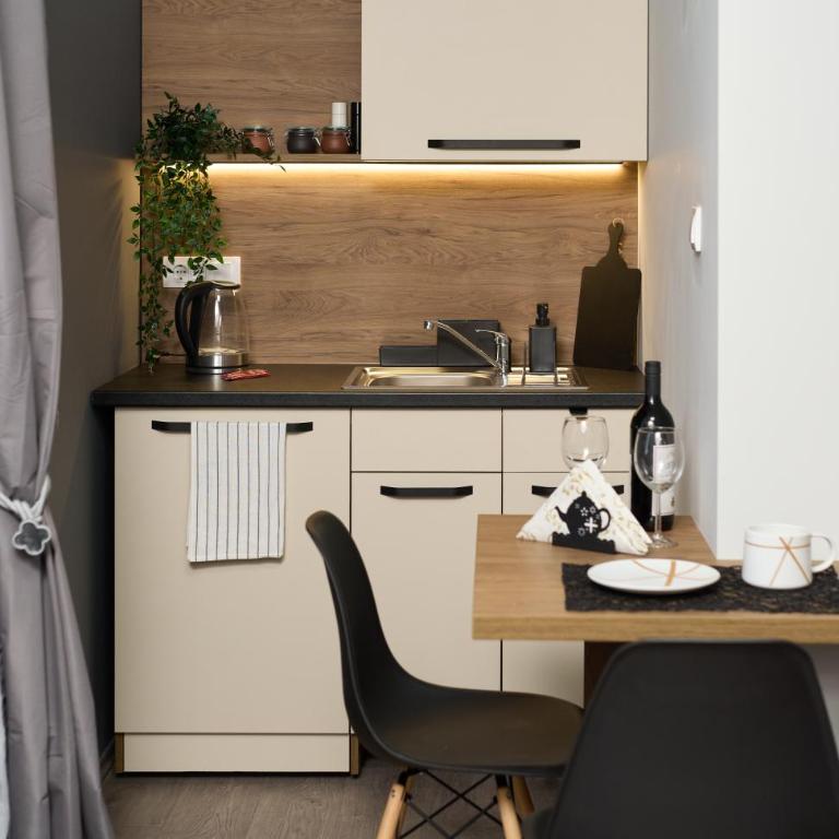 Brent Boutique Apartments - Standardni Studio - 3