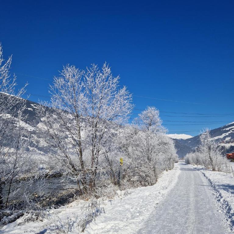 Chalet Schiestl - Ferienhaus mit Bad - 22