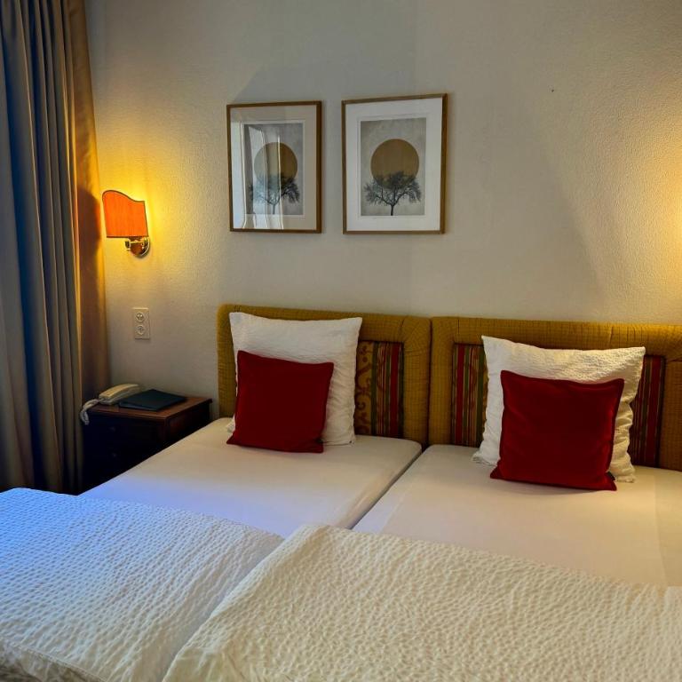 Hôtel de la Forêt - Chambre Double ou Lits Jumeaux Standard - 3
