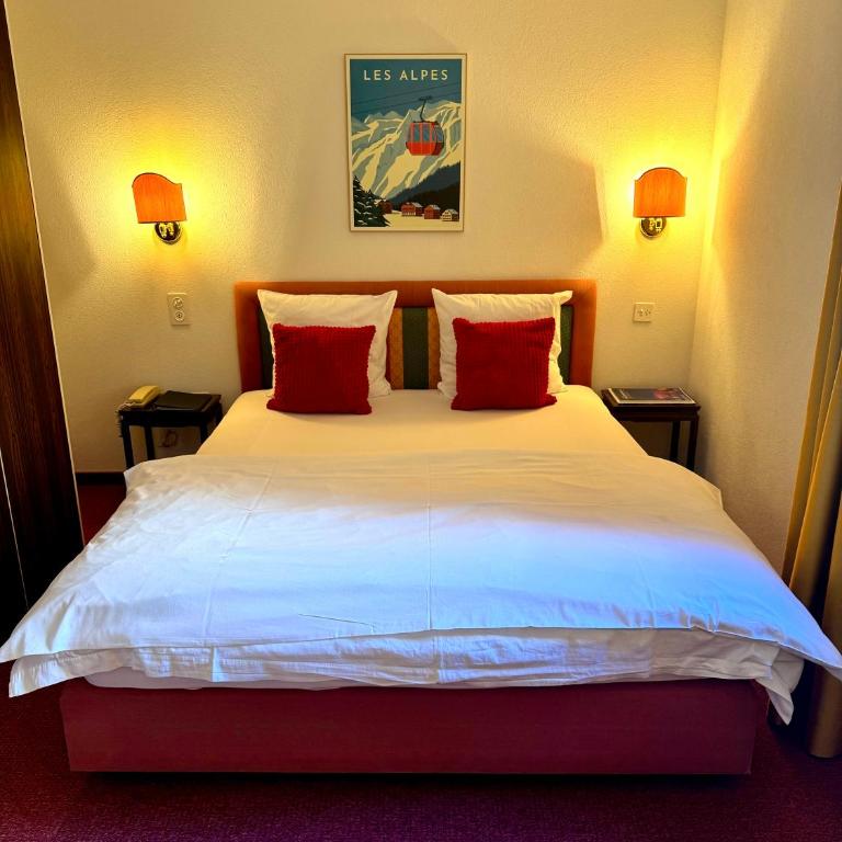 Hôtel de la Forêt - Chambre Simple - 5