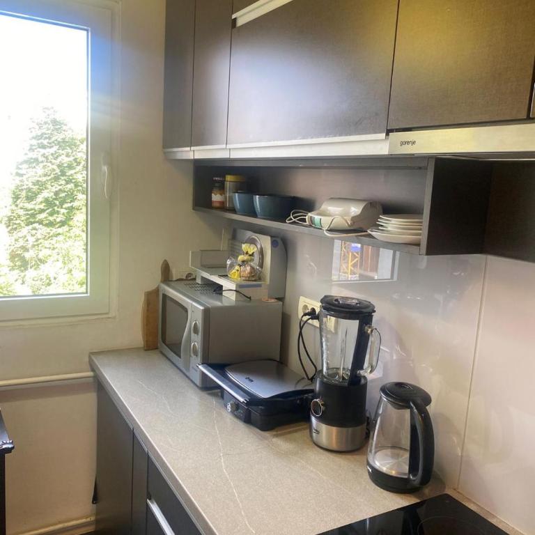 Apartman Lux - One-Bedroom Apartment - 3