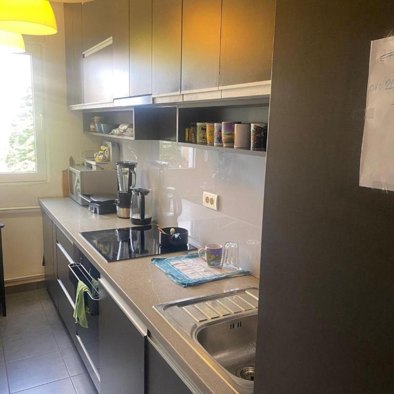 Apartman Lux - One-Bedroom Apartment - 12