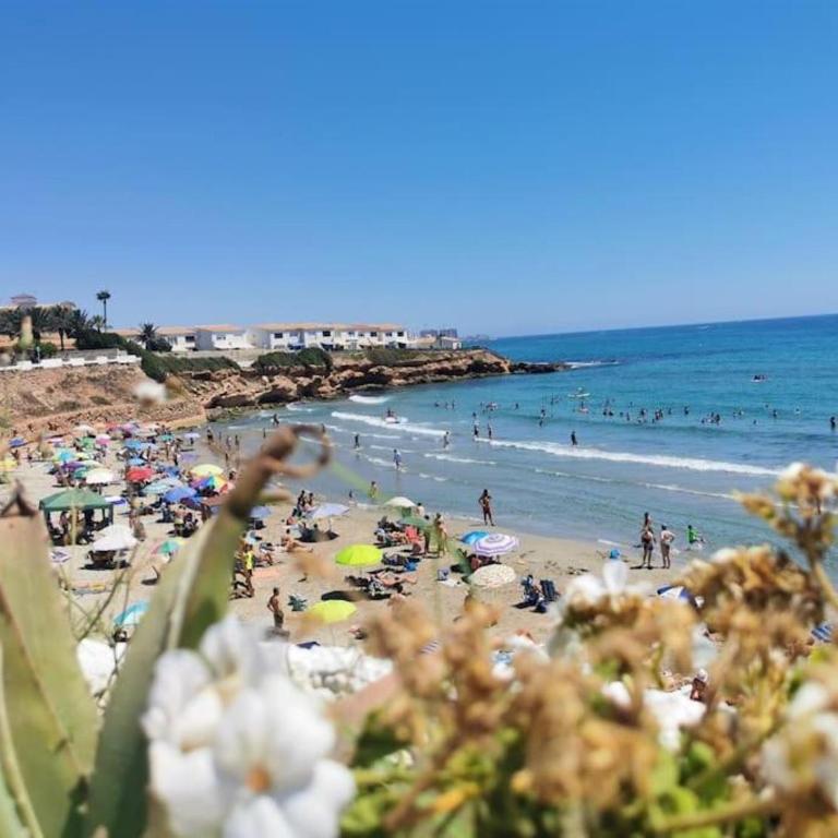 Oasis of Sunshine - Apartamento Familiar de 2 dormitorios - 38