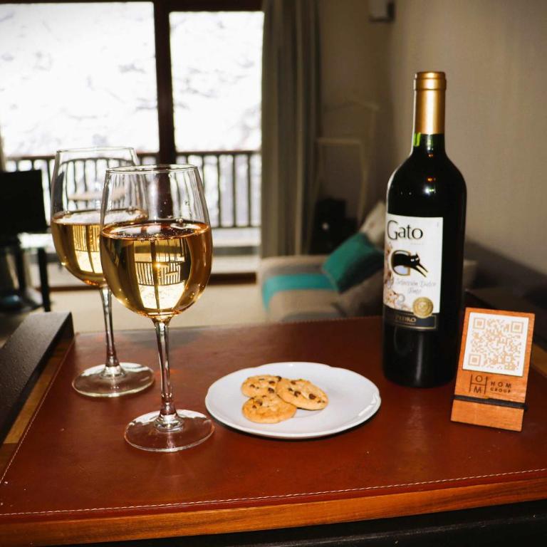 HOM I 1D1B en Valle Nevado Edif Valle Condores II VC2803 - Apartamento - 24