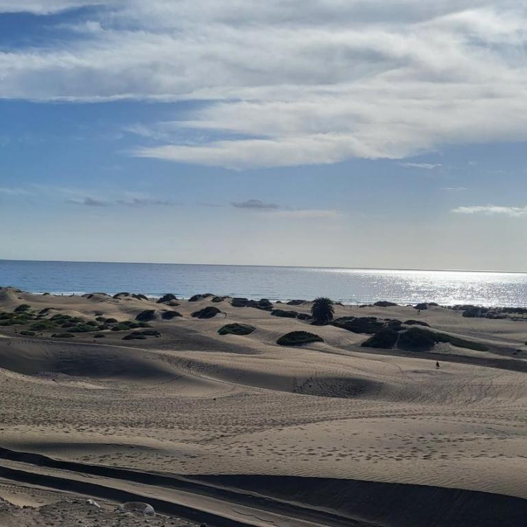 New 3BR with great terrace By CanariasGetaway - Bungalow with Garden View - 45
